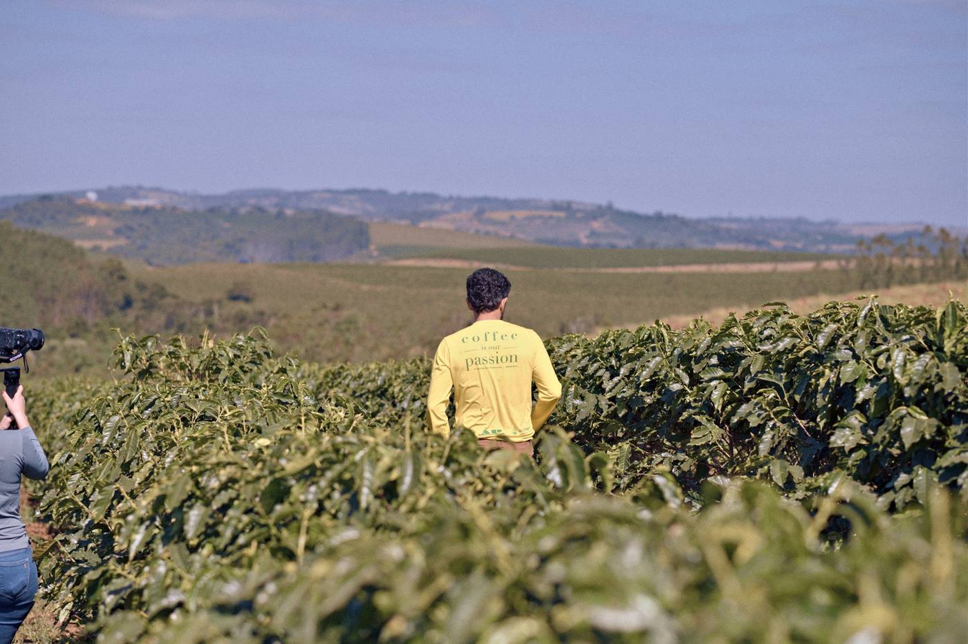 A grower walking the rows at Fazenda Pinhal